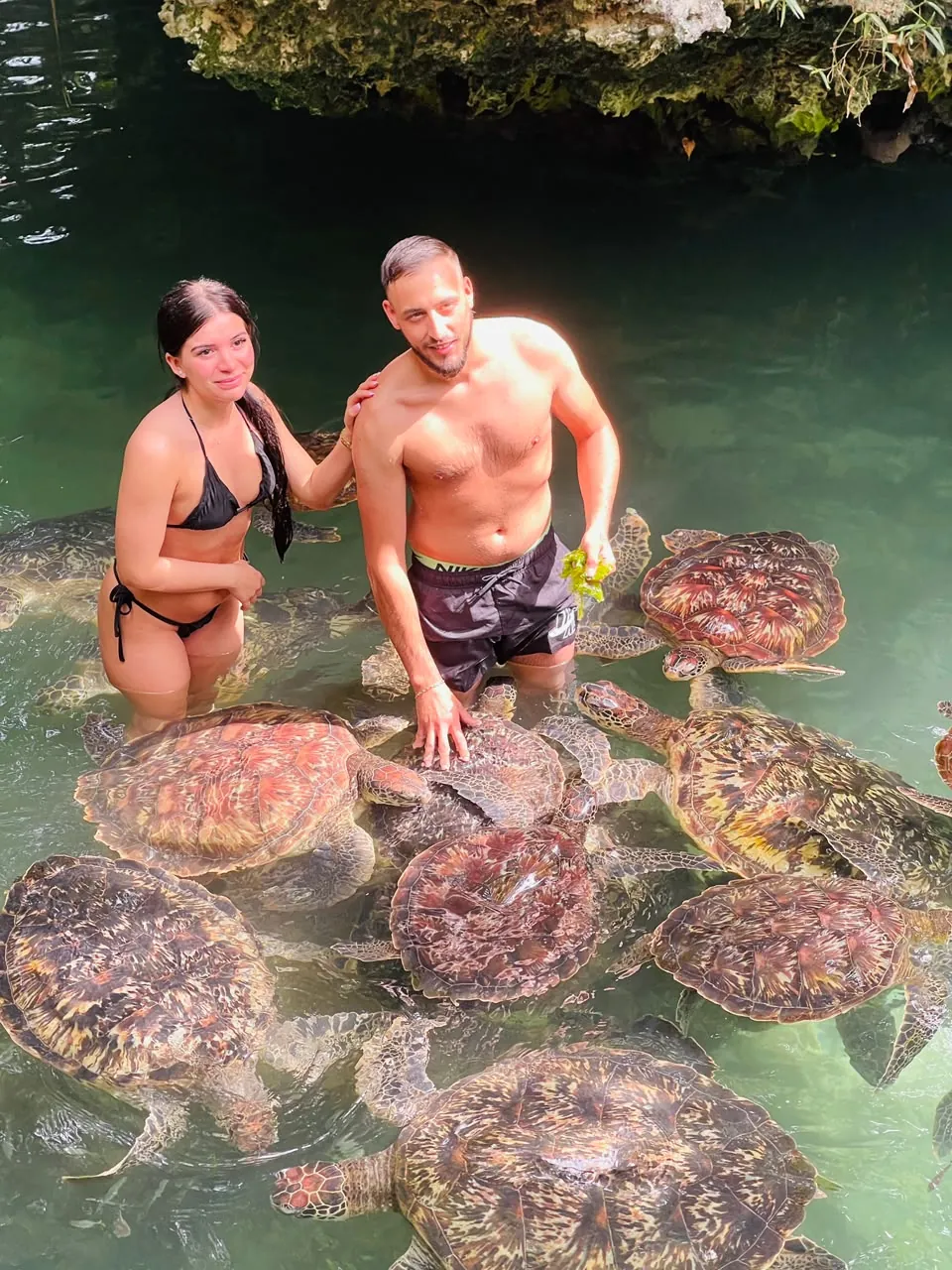 Swimming with turtles