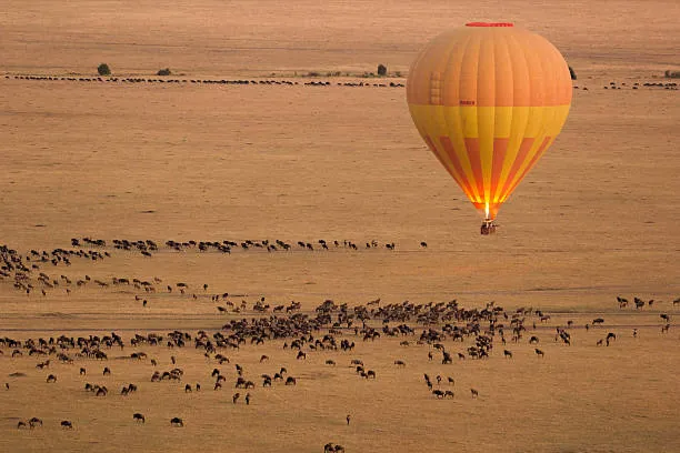 Serengeti & Hot Air Balloon
