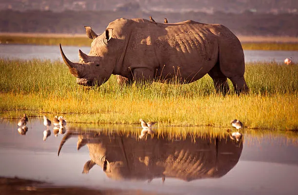 Tarangire & Ngorongoro 2 Days photo 2